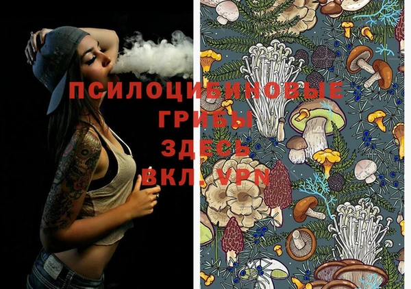 прущая мука Бородино