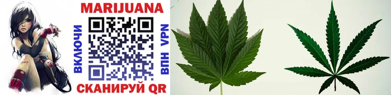 Купить  Нижнеудинск  Бошки Шишки OG Kush 